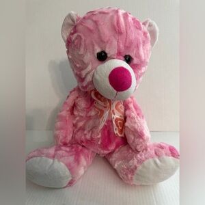 Publix Pink Plush Teddy Bear with Heart Scarf